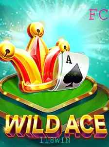 Explorando o Mundo de WildAce: Um Novo Capítulo em Jogos de Azar